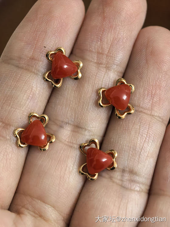 阿卡18K耳钉_耳钉珊瑚