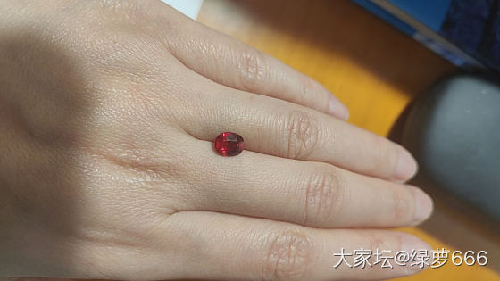 红宝石镶嵌_镶嵌