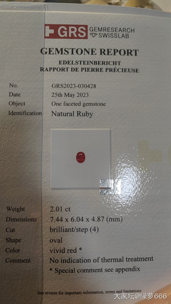 红宝石镶嵌_镶嵌