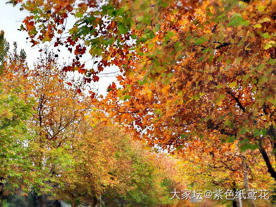 天冷了，容易掉体重了。