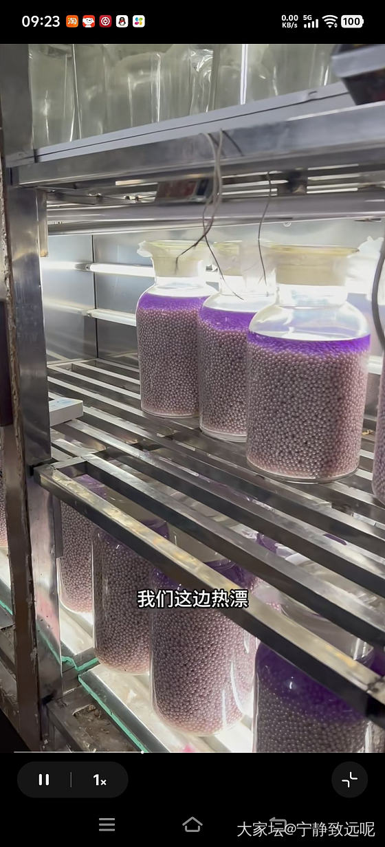 扎心了老铁，原来珍珠都要漂白的，淡水 akoya 澳白都这样....._有机宝石