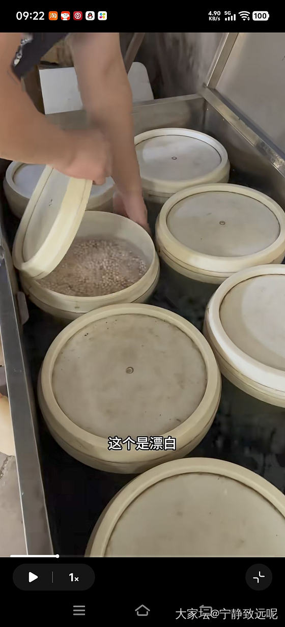 扎心了老铁，原来珍珠都要漂白的，淡水 akoya 澳白都这样....._有机宝石