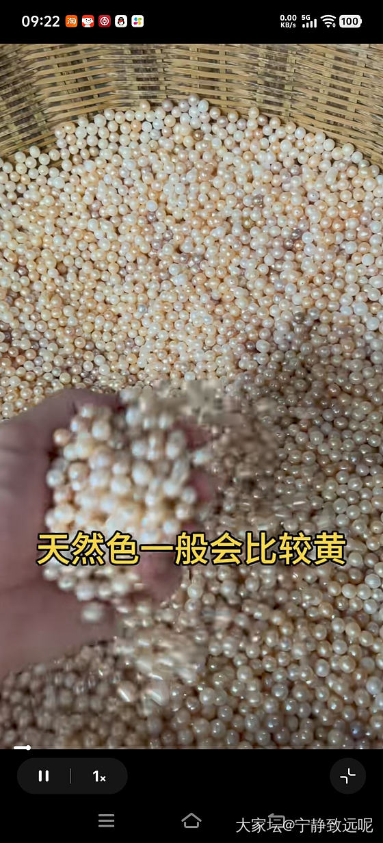扎心了老铁，原来珍珠都要漂白的，淡水 akoya 澳白都这样....._有机宝石