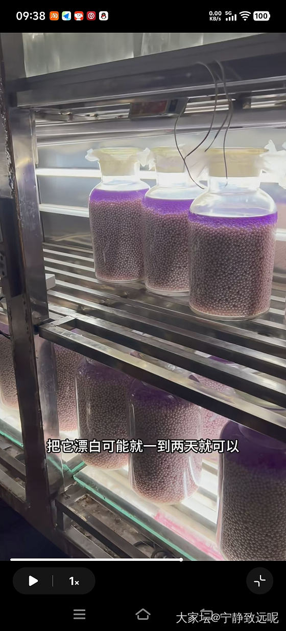 扎心了老铁，原来珍珠都要漂白的，淡水 akoya 澳白都这样....._有机宝石