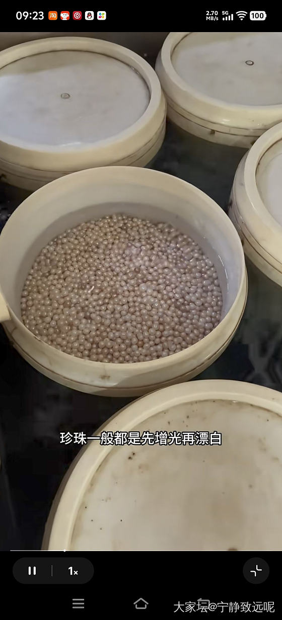 扎心了老铁，原来珍珠都要漂白的，淡水 akoya 澳白都这样....._有机宝石