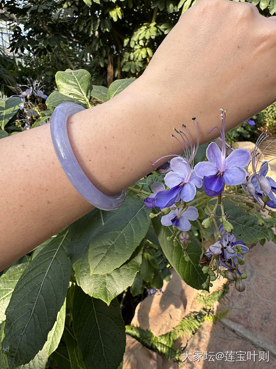 十个太阳晒不死_翡翠