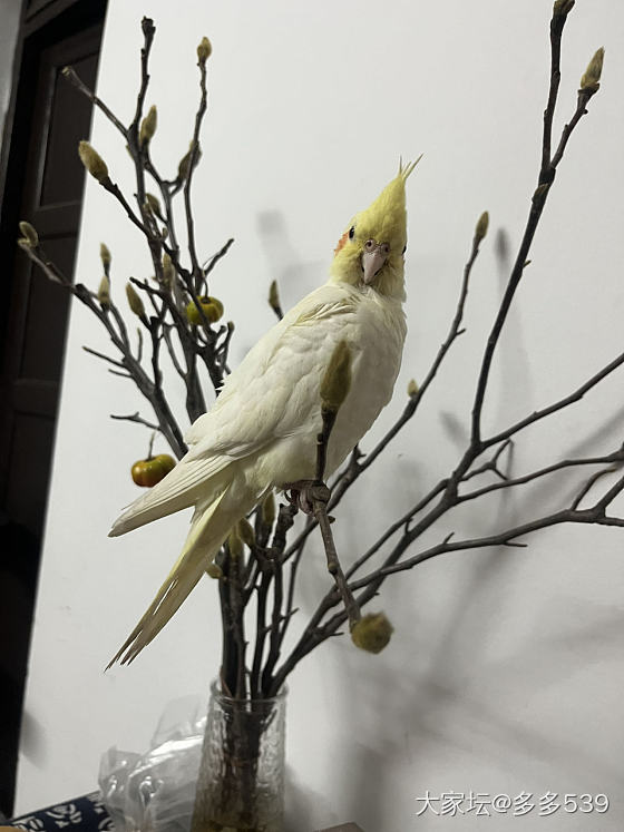 讲个故事，真的不好评_故事