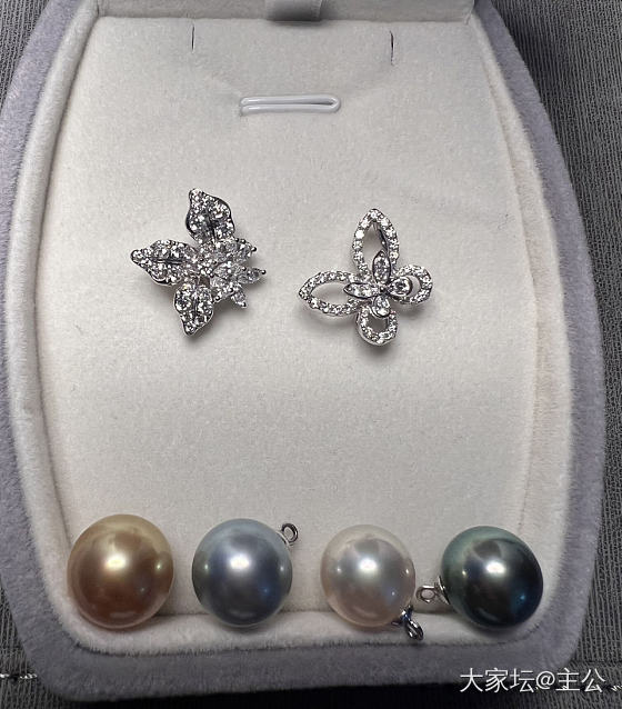 珍珠每日一晒：格拉夫蝴蝶和鸢尾花吊坠_珍珠