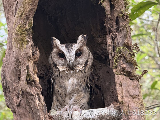 女儿今天的话点醒了我_金言金语