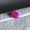 美美滴舒俱来