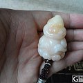 萌翻你金丝玉小兽