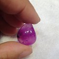 一枚小樱花种舒俱来共赏随评