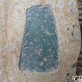 一块打木砍小料子