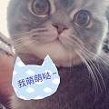 小排钻还图~互闪互闪啊~