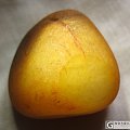 请大家帮忙看看这个是什么