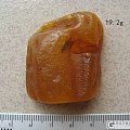 全皮原石
