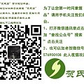“贺氏碧”特价碧玉小葫芦香插、吊坠、包挂