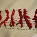 一些珊瑚枝