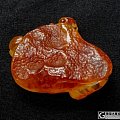 新作之福在眼前