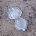 捞金鱼咯~捞到一条萌萌哒dez水沫子胖金鱼
