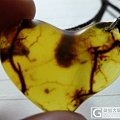 自己买的多米料diy 渣图 琥珀好难