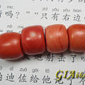 4粒珊瑚