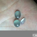 一对漂亮的豆子,再加两个蛋面一个随行不刀了(出)
