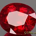 新败18.9卡Rubellite碧玺,大家赏玩一下