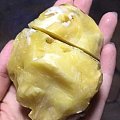 一刀定生死