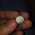 印尼的海珠，野生无核，值得入吗？
