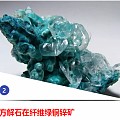 地球宝藏 不看你一辈子也不知道！