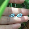 新入一颗海蓝