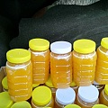 自家每年都吃的新疆阿勒泰产纯天然蜂蜜 山花蜜 葵花蜜