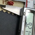 天然红珊瑚锁骨链