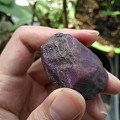 343克拉紫色蓝宝石原矿，该怎么处理？