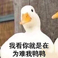 求教泥鳅背戒指，哪家打金的师傅能刻日期，想做对戒用。