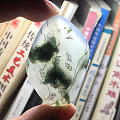”春来维做韶华主，总领群芳是牡丹 。