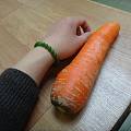 这根胡萝卜为什么那么不友好啊。。
