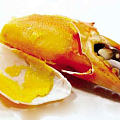 黄油蟹好吃吗？是不是快到吃黄油蟹的季节了？