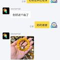 挂个骗直款不成恼羞成怒的