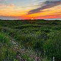 Cape Breton Highlands National Park