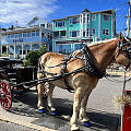 Lunenburg（卢嫩堡）古城