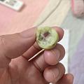 故事要从我吃了一颗酸枣开始……