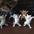 人间富贵猫