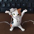 人间富贵猫