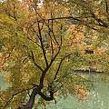 秋日颐和园的后湖竟然有这么美