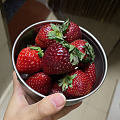 草莓🍓🍓🍓