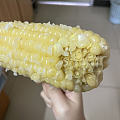 糯叽叽，是好吃的玉米
