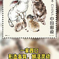 这版邮票的兔子设计的好看
