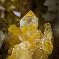 真菌水晶——目前已知的“生物来源”包体水晶